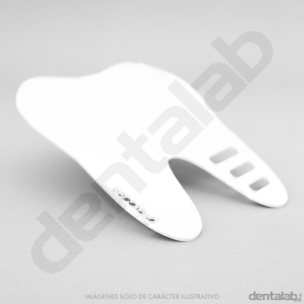 Espejo Grande Diseño Molar EvoDen