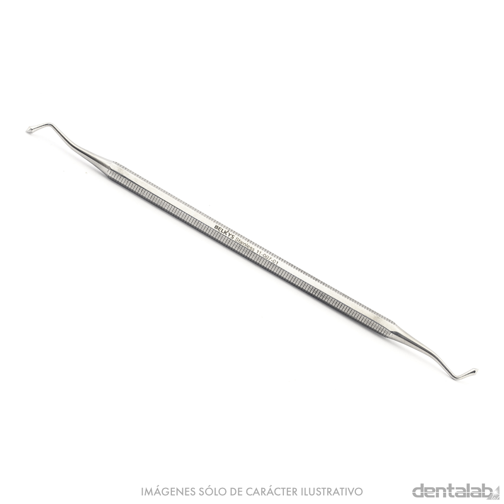 Bruñidor Wetscott Doble BELKYS