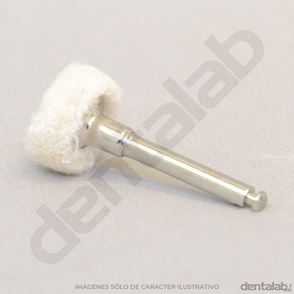 Cepillito Disco CA de Algodón 10mm x Unidad
