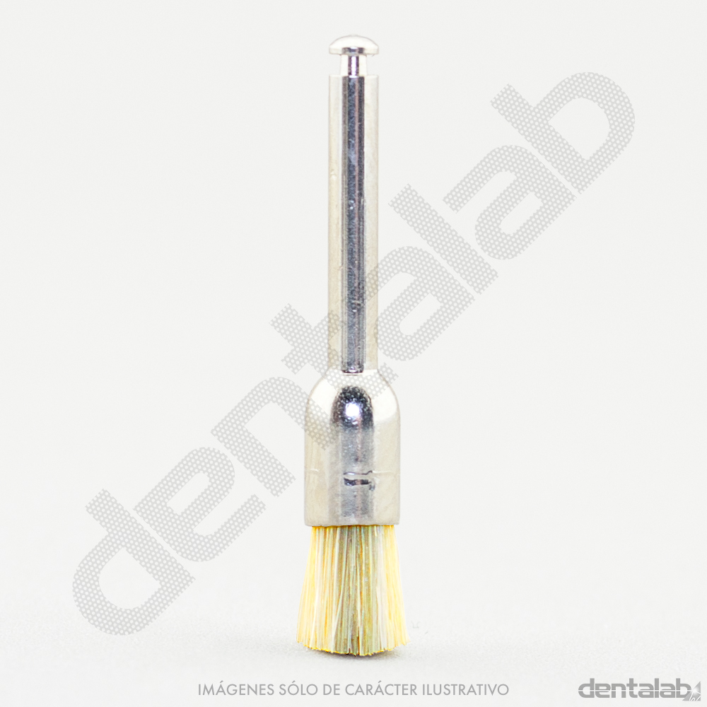 Cepillito Brochita CA Profilaxis Pelo de Caballo