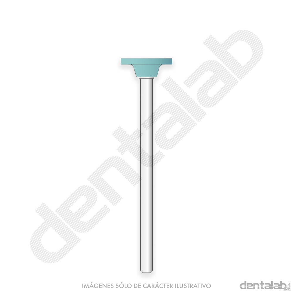 Piedra Verde F113 Disco para Porcelana Easydent x Unidad