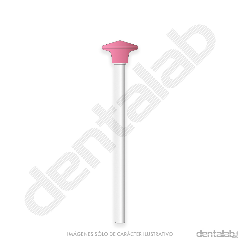 Piedra Roja F4 Lenteja para Cromo Easydent x Unidad