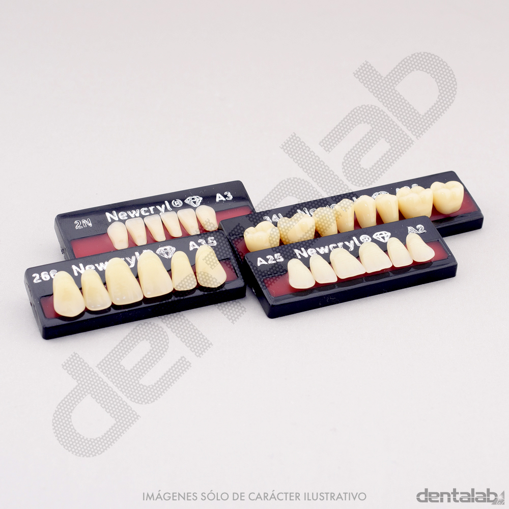 Dientes NewcryL® (LEER DESCRIPCIÓN)