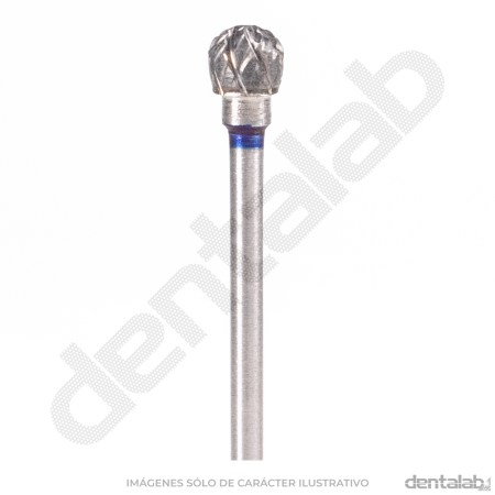 31613-D050C-00