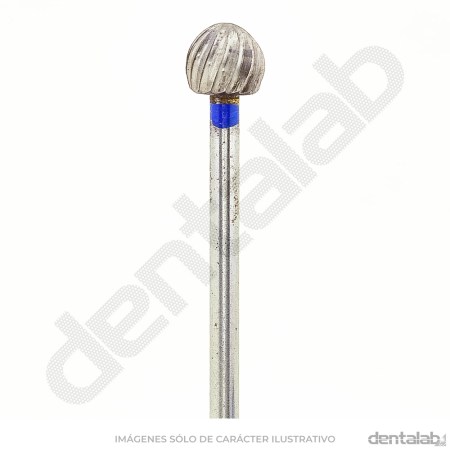 31613-D060S-00